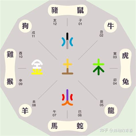 火兔 五行|【屬兔生肖及五行】屬兔五行屬什么生肖兔五行喜忌查。